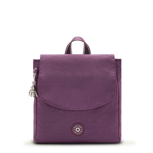 Kipling Dannie Small Backpacks Purple | US02EOFQK