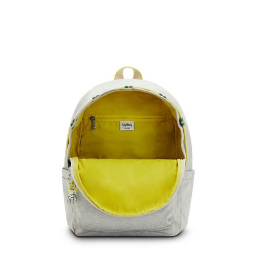 Kipling Delia Classic Backpacks Grey | US62TRDJX