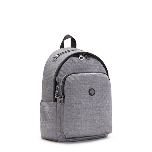 Kipling Delia Classic Backpacks Silver | US46LKZOQ