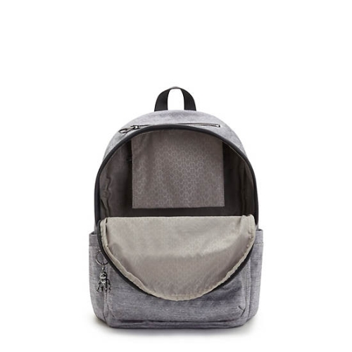 Kipling Delia Classic Backpacks Silver | US46LKZOQ